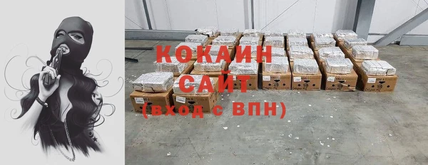 дживик Богородицк