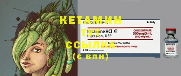 дживик Богородицк