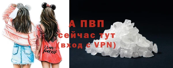прущие грибы Богородск