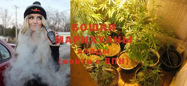 дживик Богородицк