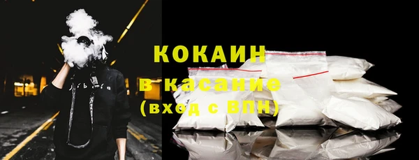 дживик Богородицк