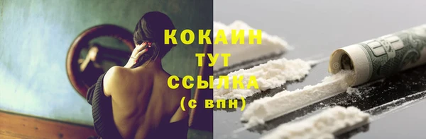 дживик Богородицк