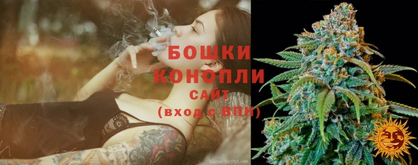 прущие грибы Богородск