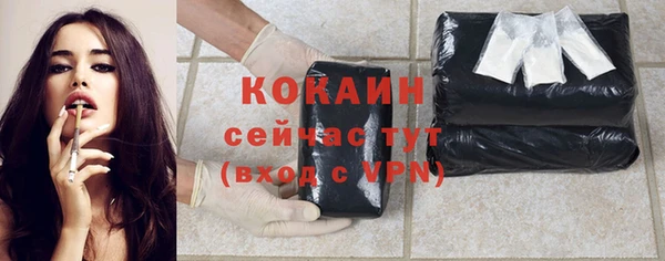 дживик Богородицк