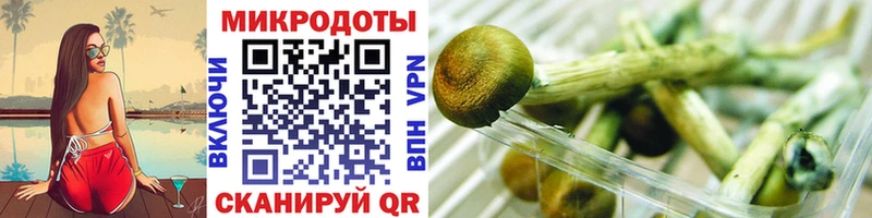 закладка  Макаров  Галлюциногенные грибы GOLDEN TEACHER 